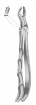  Fig. 67 ½ R upper third molars right 